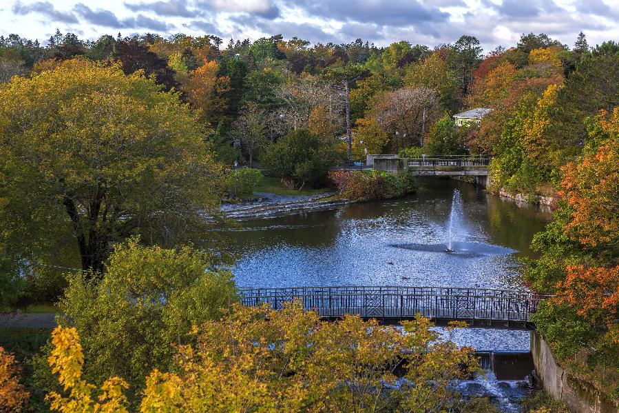 Bowring Park Duck Pond (Photo: Geoff Whiteway)