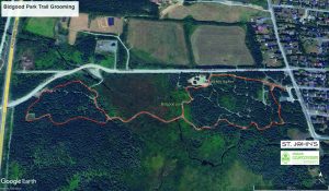 Bidgood Park Trail Grooming