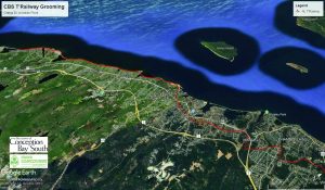 CBS T'Railway Grooming