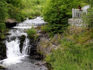 Virginia River Trail, St. John's 