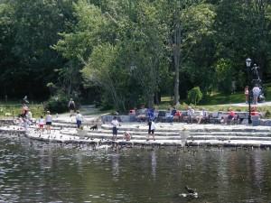 Bowring Park Duck Pond 