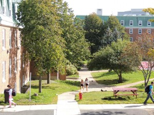 MUN Visitors Walk, St. John's 