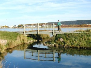 Mundy Pond Walk