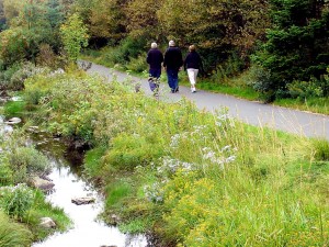 Sunrise Trail, Mount Pearl 