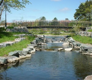 Bowring Park Habitat Enhancement 