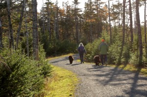 Voisey's Brook Conservation Trails