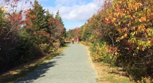 T'Railway in the Fall 